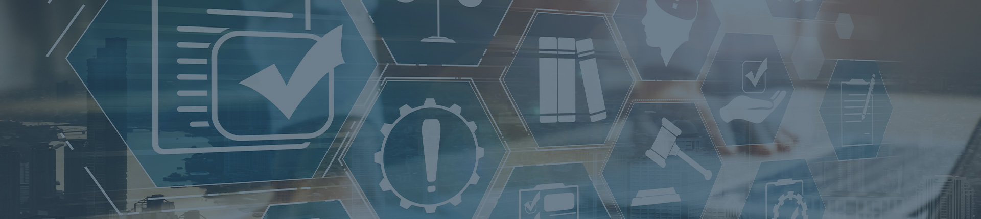 סיכונים ובקרות