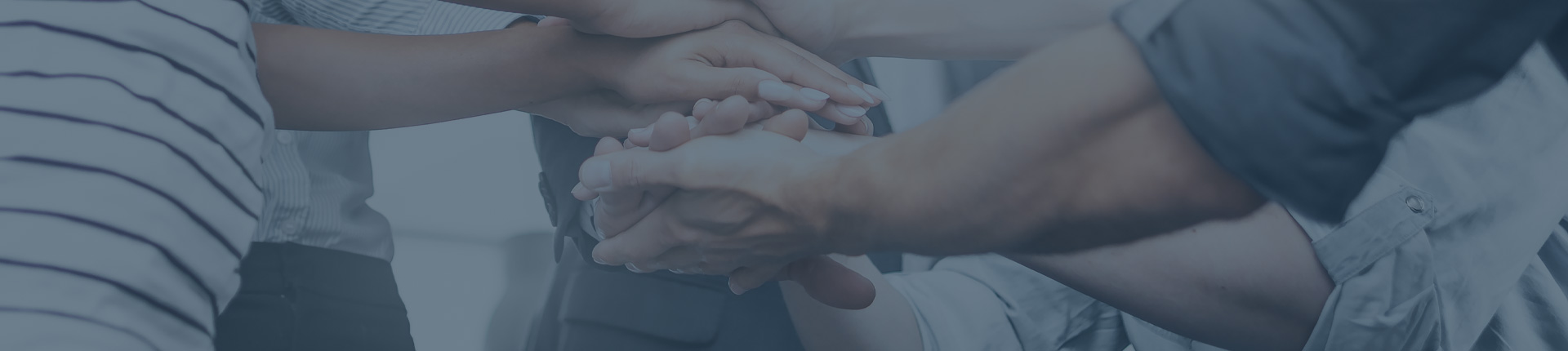 תחומי פעילות